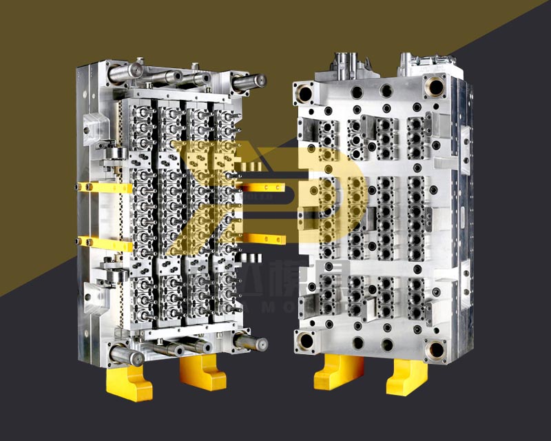 PET Preform mould