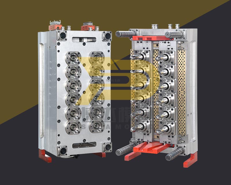 PET Preform mould